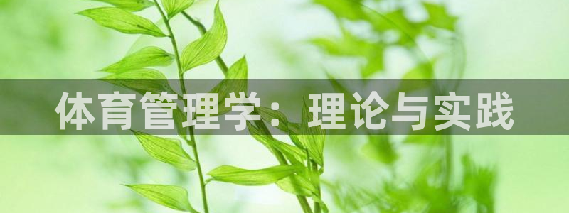 必一体育app平台下