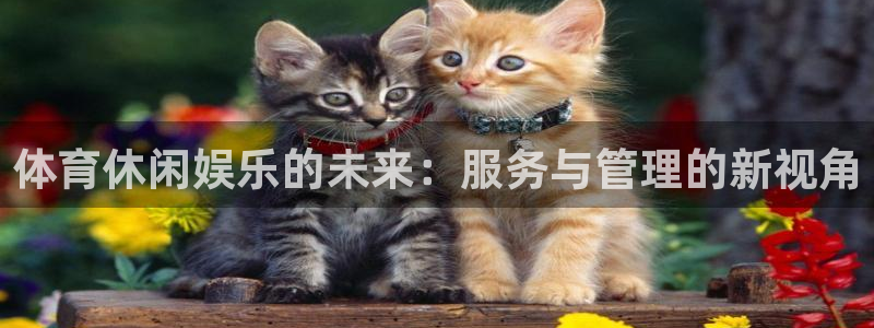 必一体育验证码：体育