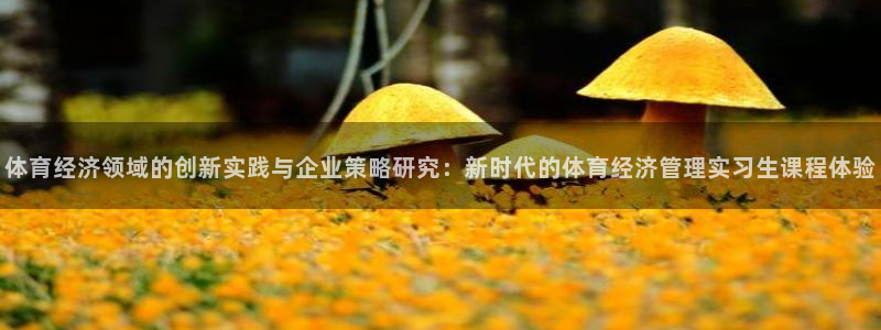 必一体育：体育经济领