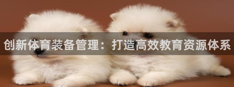 必一体育旧版：创新体