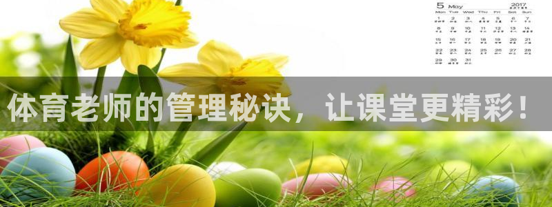 必一体育电子app