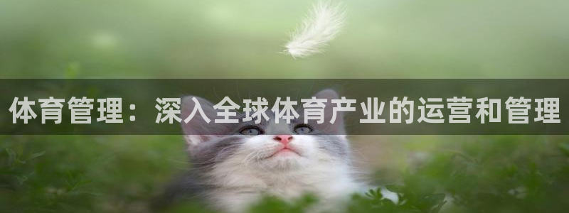 必一运动sport网页版