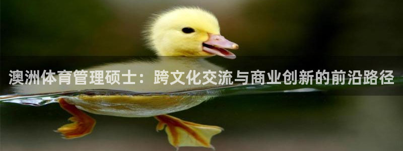 必一体育平台：澳洲体