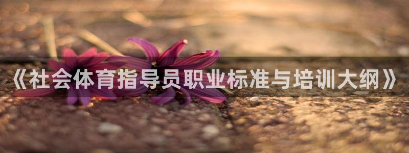 必一体育官方app下