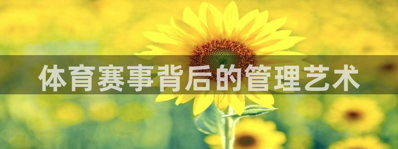 必一体育网址：体育赛事背后的管理艺术