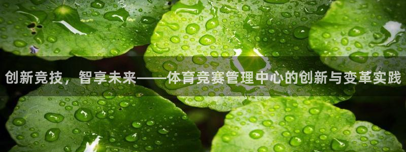 必一体育网页版登录：