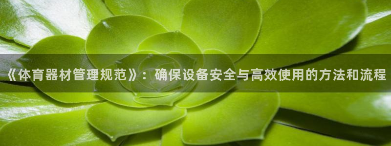 必一体育网页登陆：《体育器材管理规范》：确保设备安全与高效使