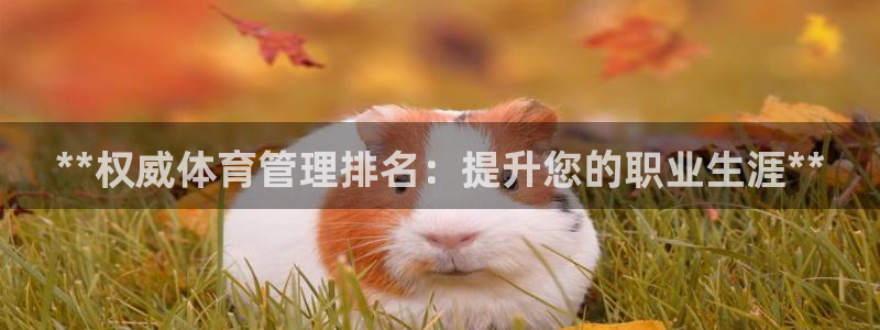 必一体育登录入口AP