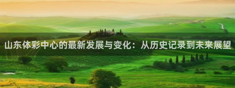 必一体育sport官