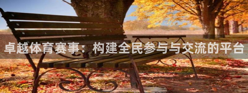 必一体育APP：卓越体育赛事：构建全民参与与交流的平台