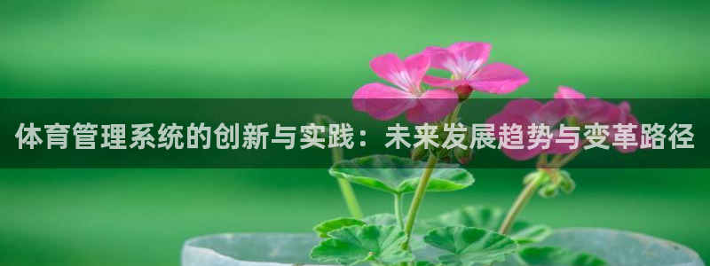 必一体育运动下载：体育管理系统的创新与实践：未来发展趋势与变